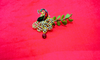 SAREE PIN /BROOCH